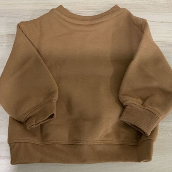 NWT!! Pumpkin Lightweight Sweatshirt Orange/Brown 3Month Old - Picture 6 of 6